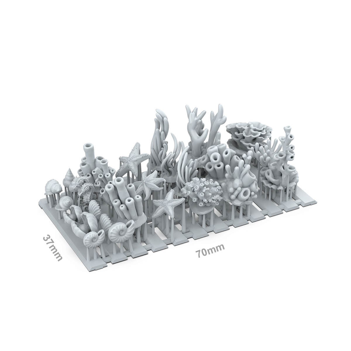 ak-interactive-coral-y-algas-marinas-ak-basing-bits image 2