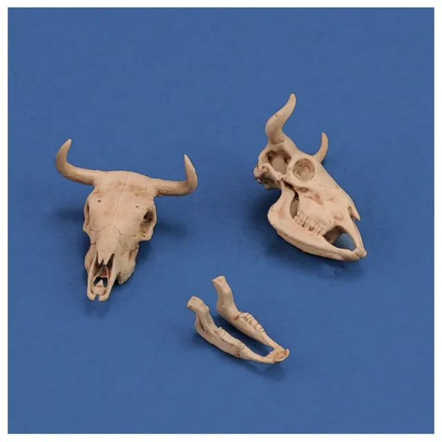 ak-interactive-cow-skulls-1-35-3d-printed image 1