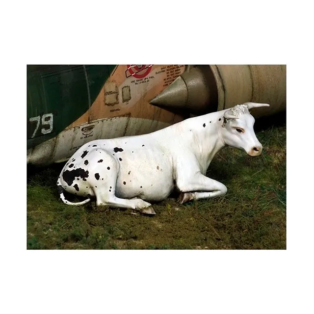 ak-interactive-cow-lying-down-1-35-animale-per-diorama image 1