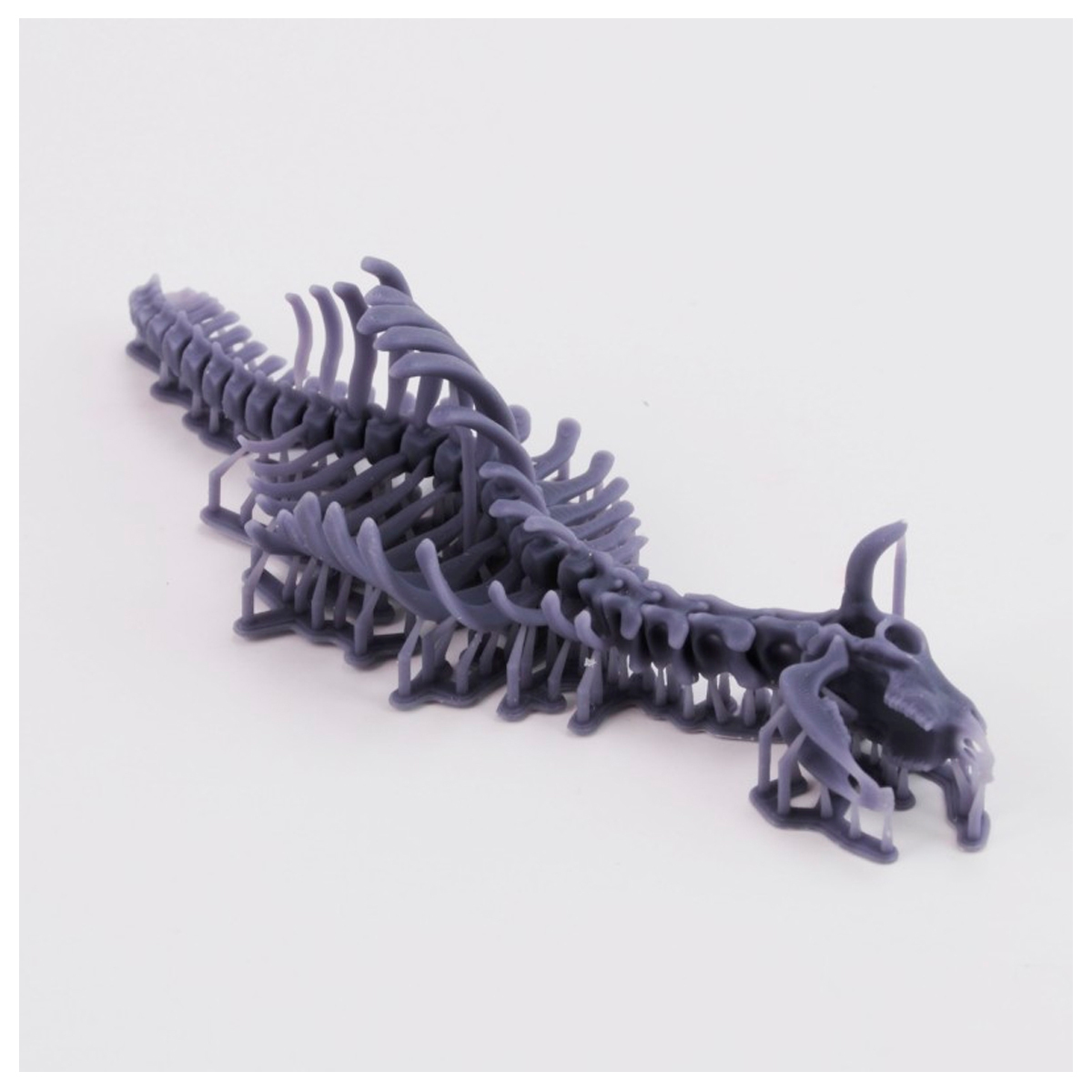 ak-interactive-cow-skeleton-n-1-1-35-scheletro-di-mucca-3d-stampa image 3