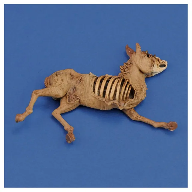 ak-interactive-1-35-donkey-carcass-3d-printed-accessorio-diorama-da-dipingere image 1