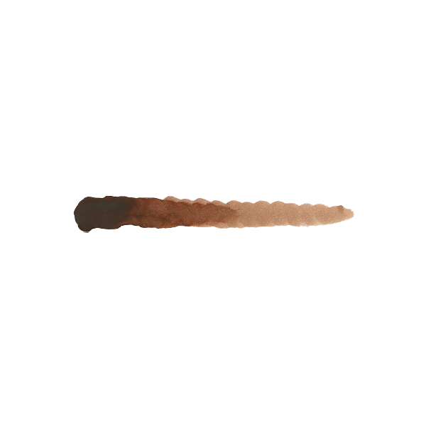 scale75-chestnut-ink-inchiostro-acrilico-20ml-per-pennello-e-aerografo image 2