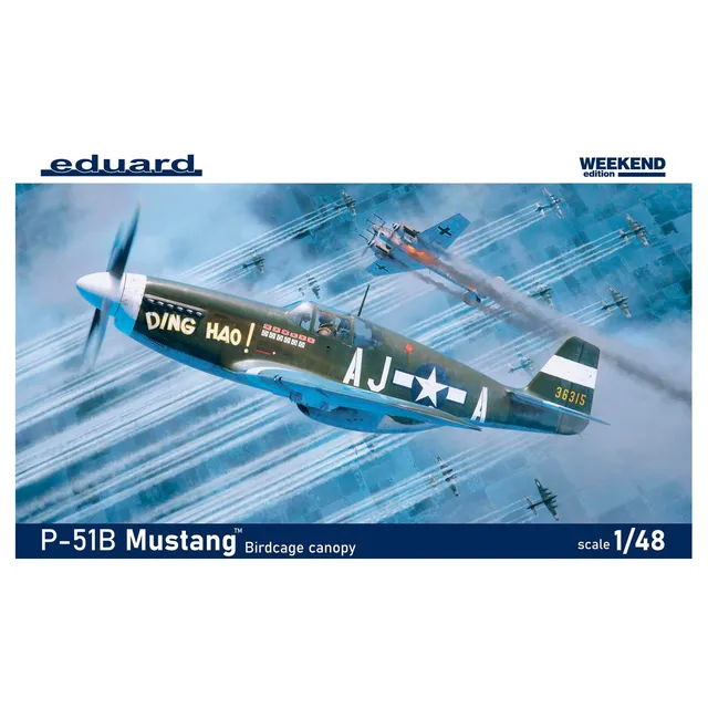 ak-interactive-1-48-p-51b-c-mustang-birdcage-canopy image 1