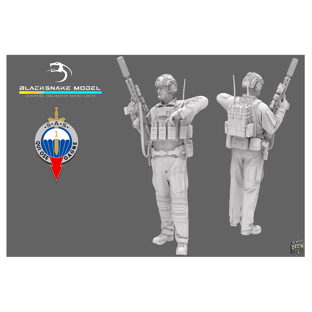 ak-interactive-1st-rpima-french-sas-05 image 2