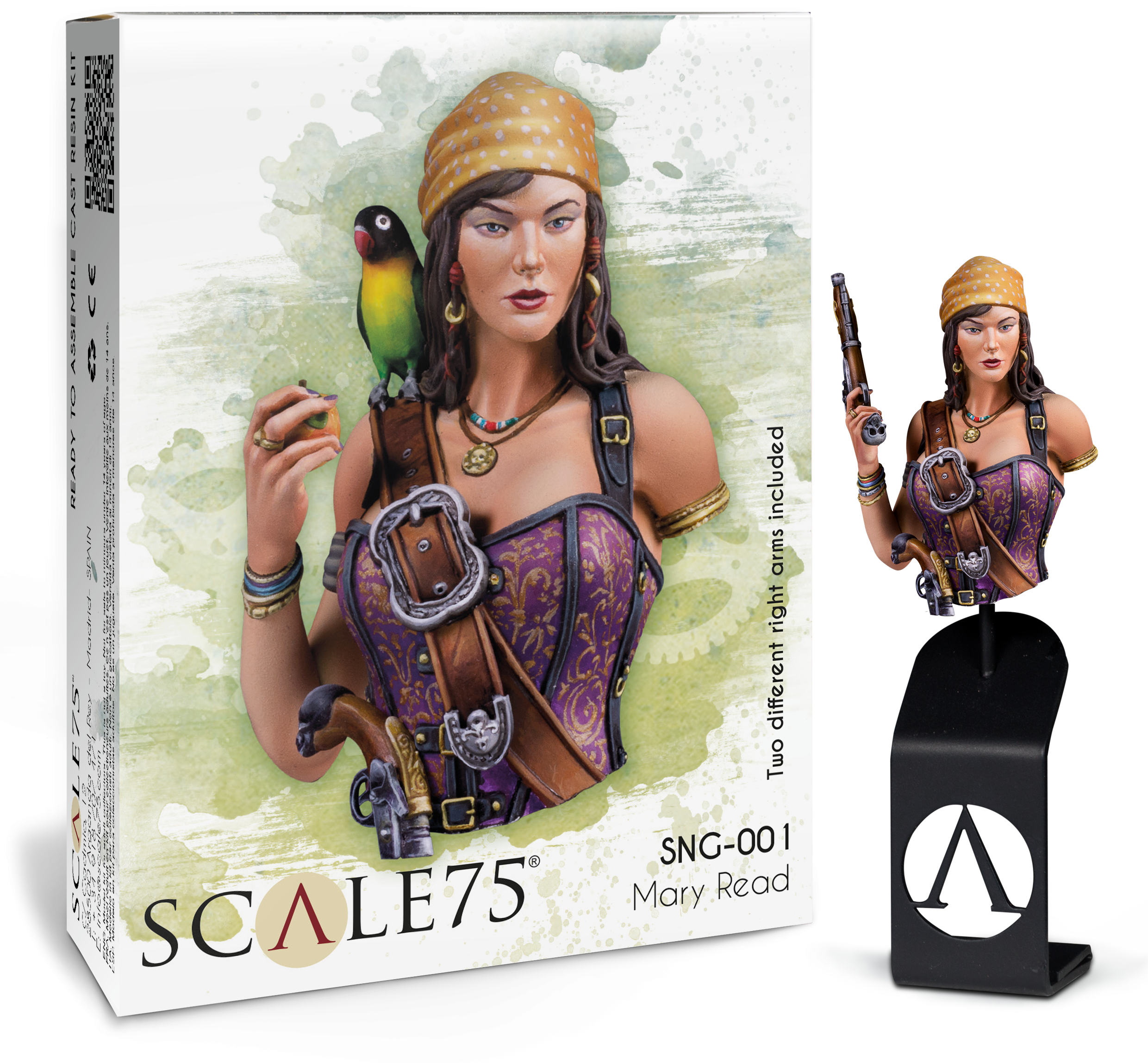 scale75-mary-read-1-10-busto-pirata-naughty-gears-in-resina image 1