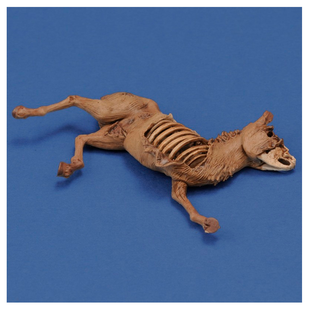 ak-interactive-1-35-donkey-carcass-3d-printed-accessorio-diorama-da-dipingere image 3
