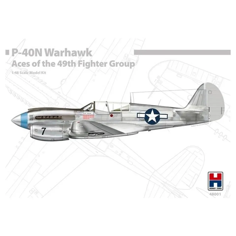 ak-interactive-1-48-p-40n-warhawk-aces-of-the-49th-fighter-group image 1