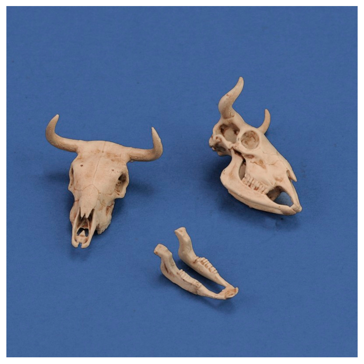 ak-interactive-cow-skulls-1-35-3d-printed image 1