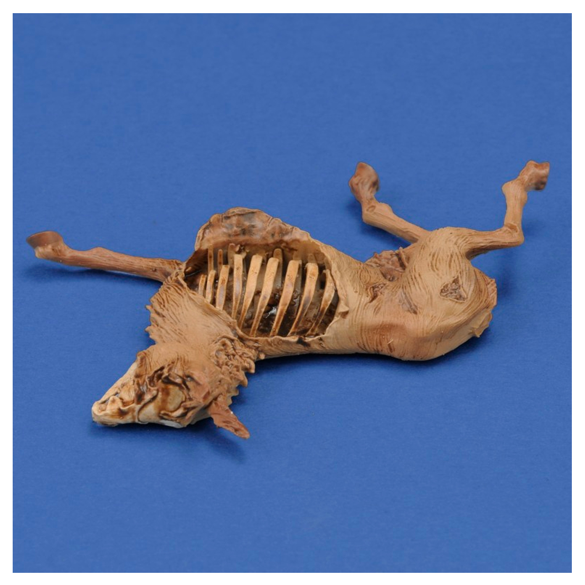 ak-interactive-1-35-donkey-carcass-3d-printed-accessorio-diorama-da-dipingere image 4