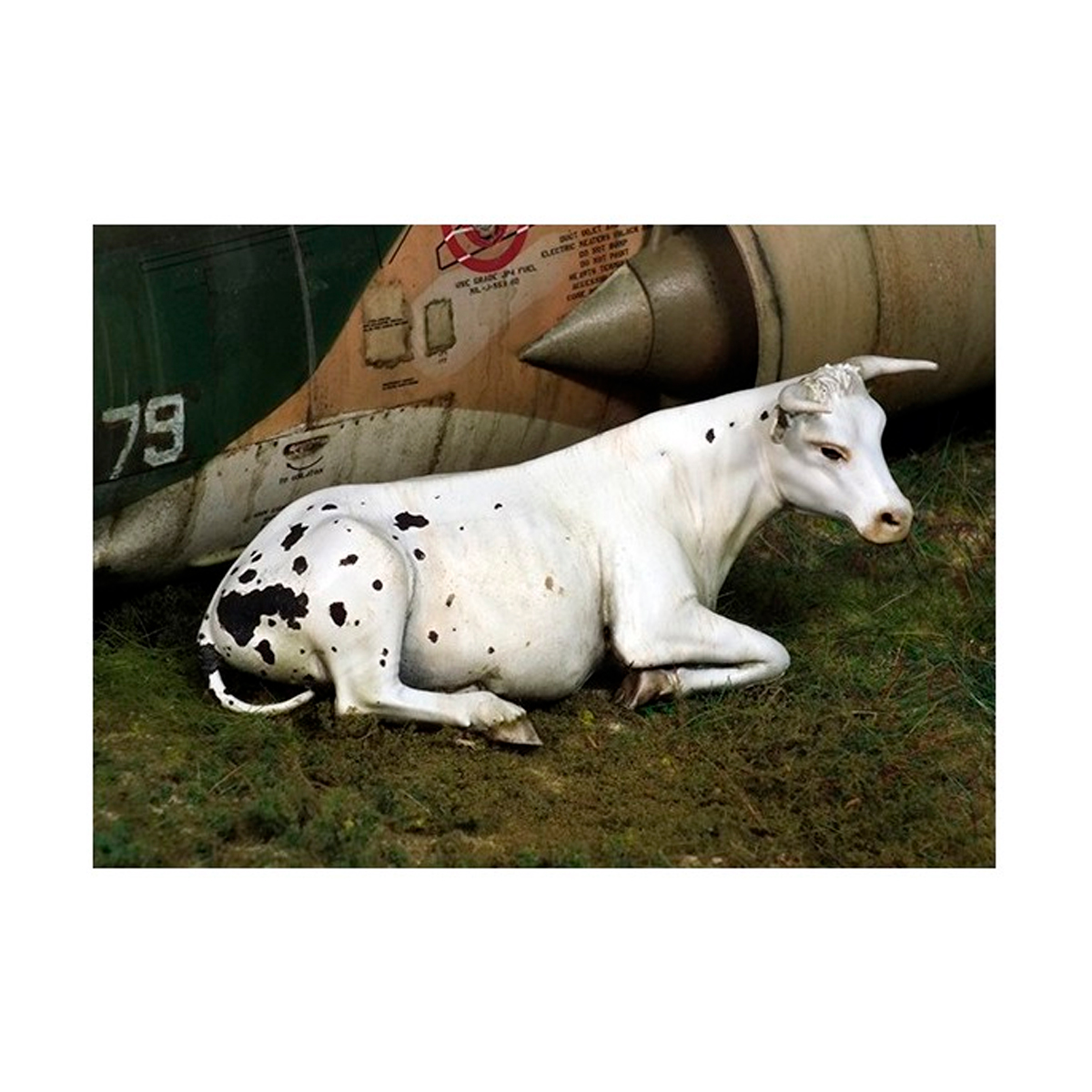 ak-interactive-cow-lying-down-1-35-animale-per-diorama image 1