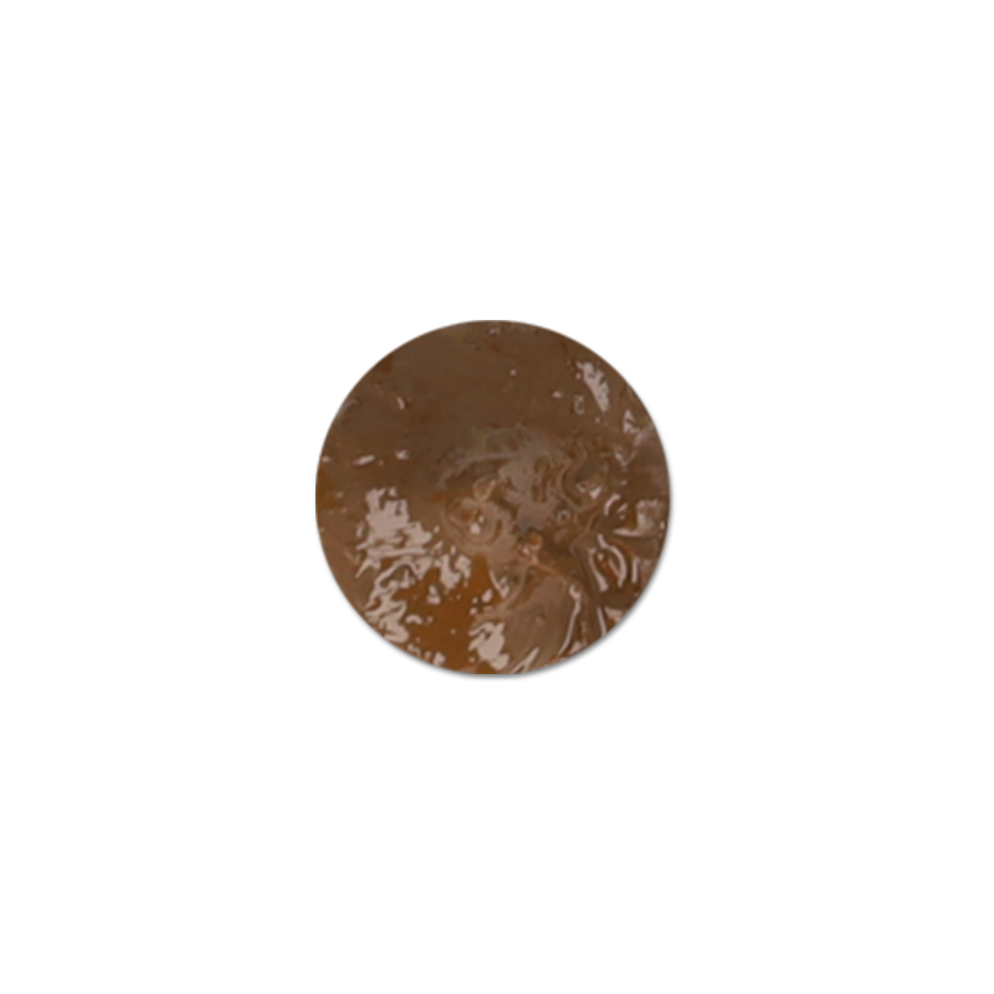 scale75-scalecolor-brown-sienna-pittura-a-olio-opaca-20-ml image 2