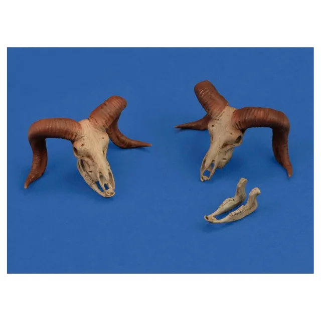 ak-interactive-mufflon-skulls-1-35-set-accessori-3d-per-diorami image 1