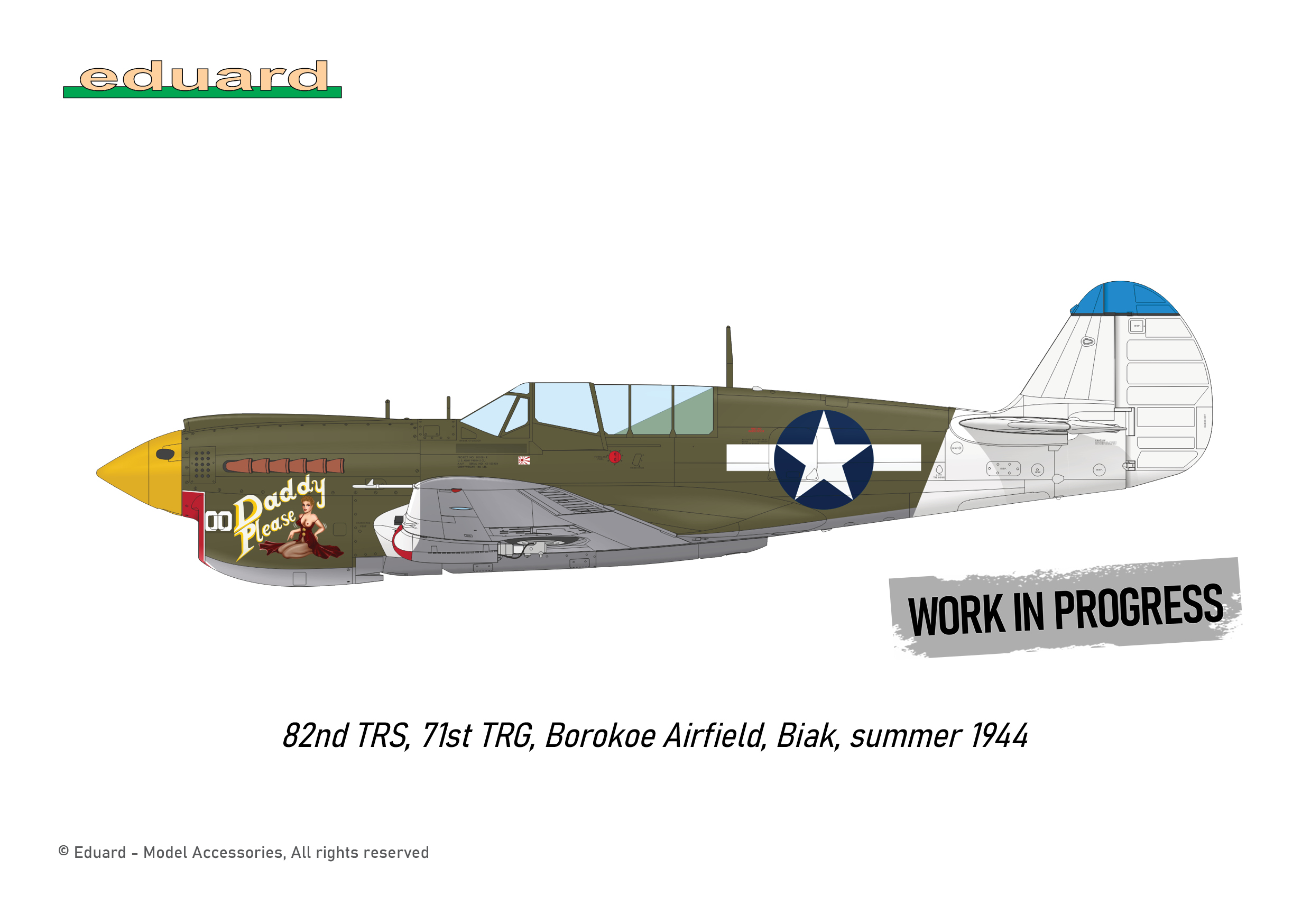 ak-interactive-p-40n-warhawk-royal-class-dual-combo-1-48 image 5