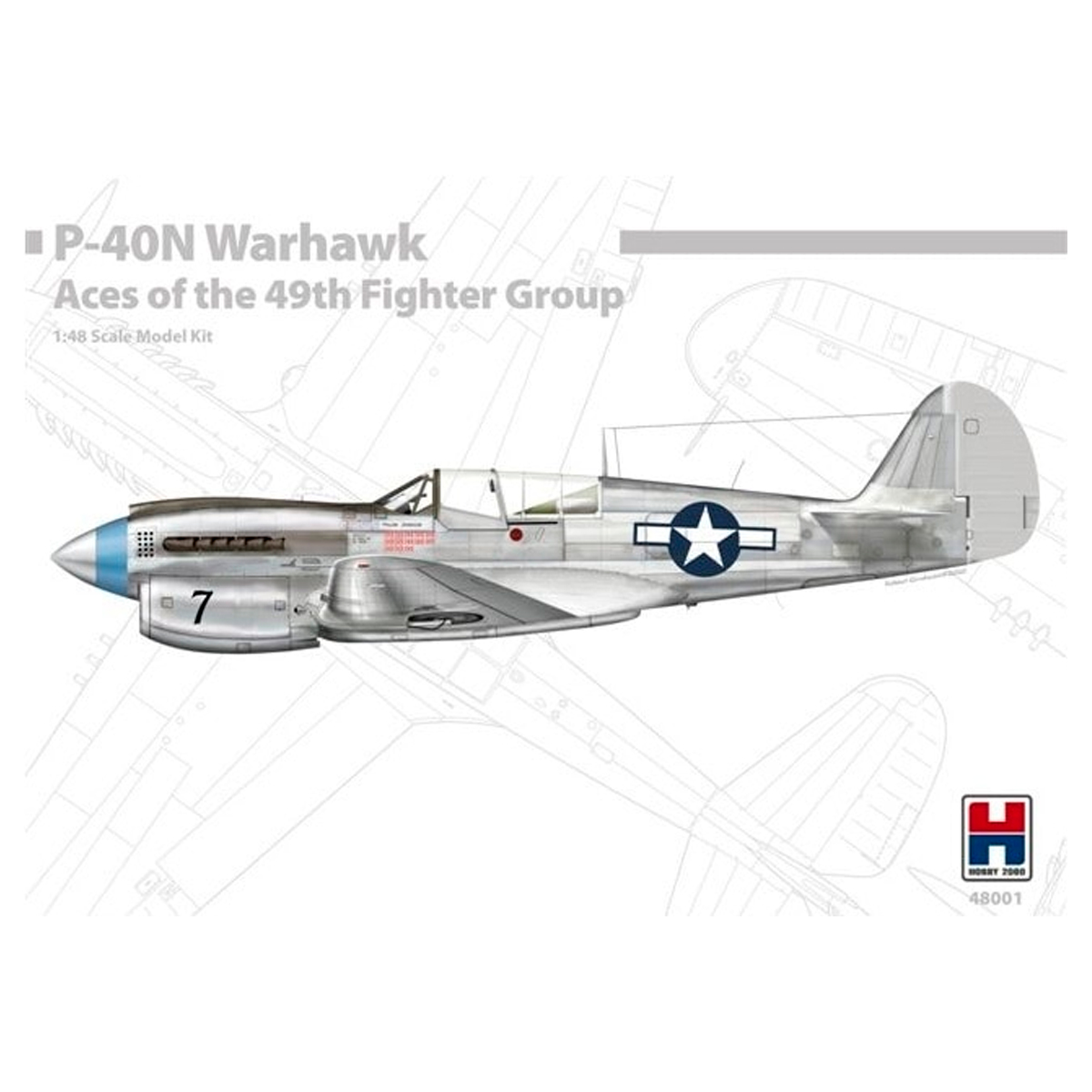 ak-interactive-1-48-p-40n-warhawk-aces-of-the-49th-fighter-group image 1