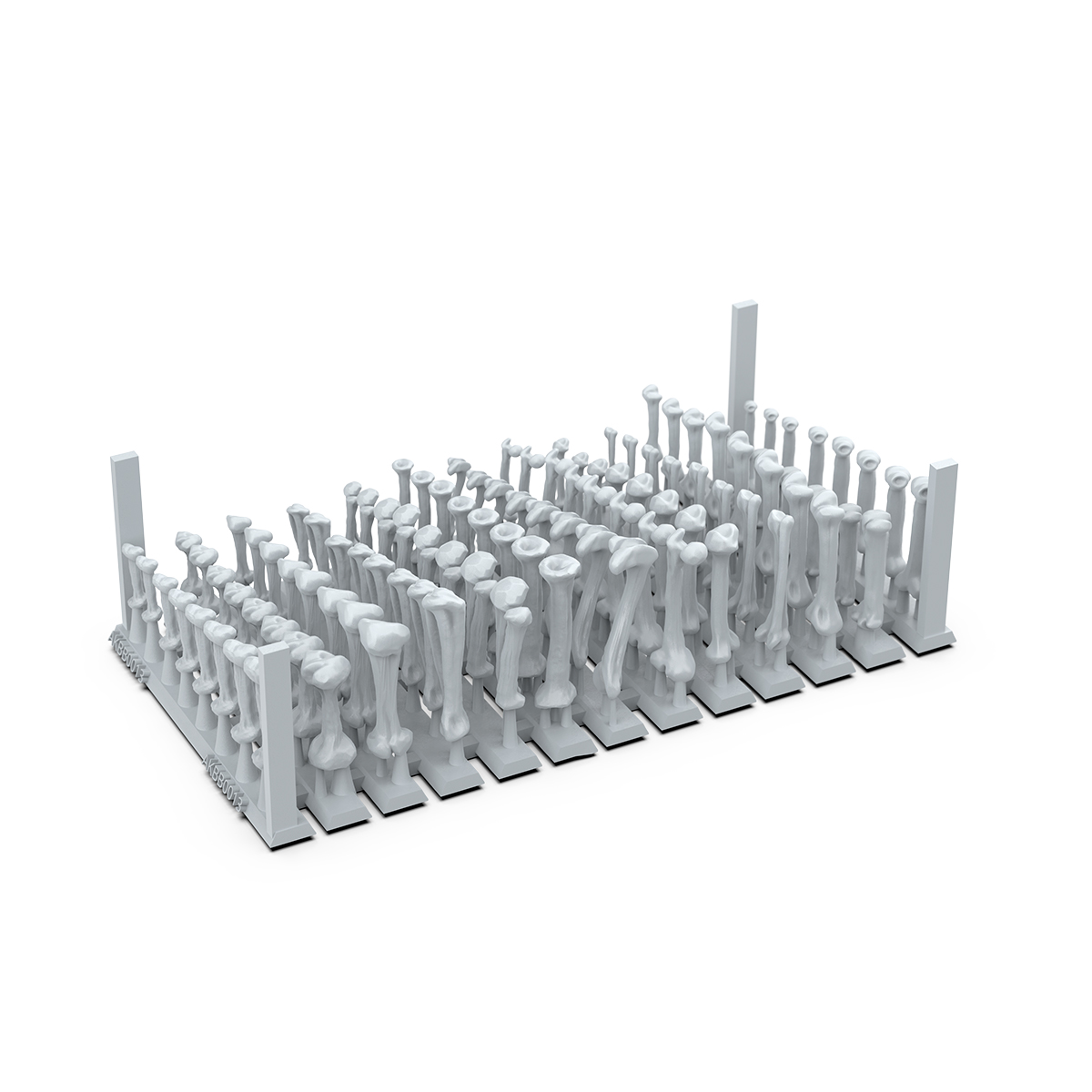 ak-interactive-human-bones-ak-basing-bits-per-basi-e-diorami image 3