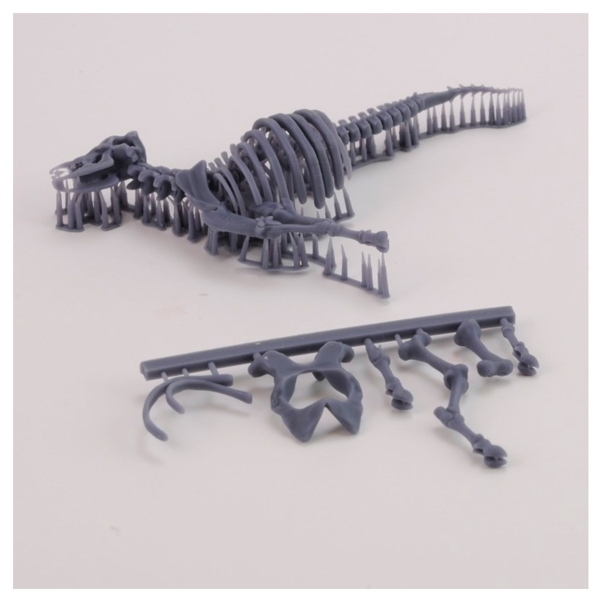 ak-interactive-cow-skeleton-n-3-1-35-stampa-3d-accessorio-diorama-modellismo image 3