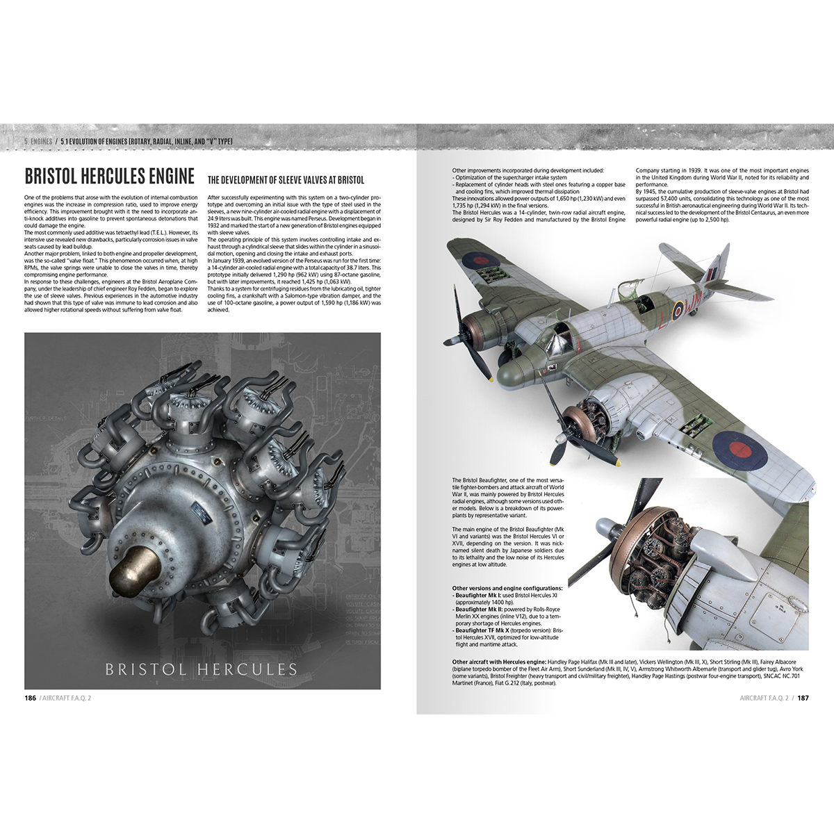 ak-interactive-f-a-q-2-aircraft-scale-modeling-libro-di-daniel-zamarbide-coperti image 5