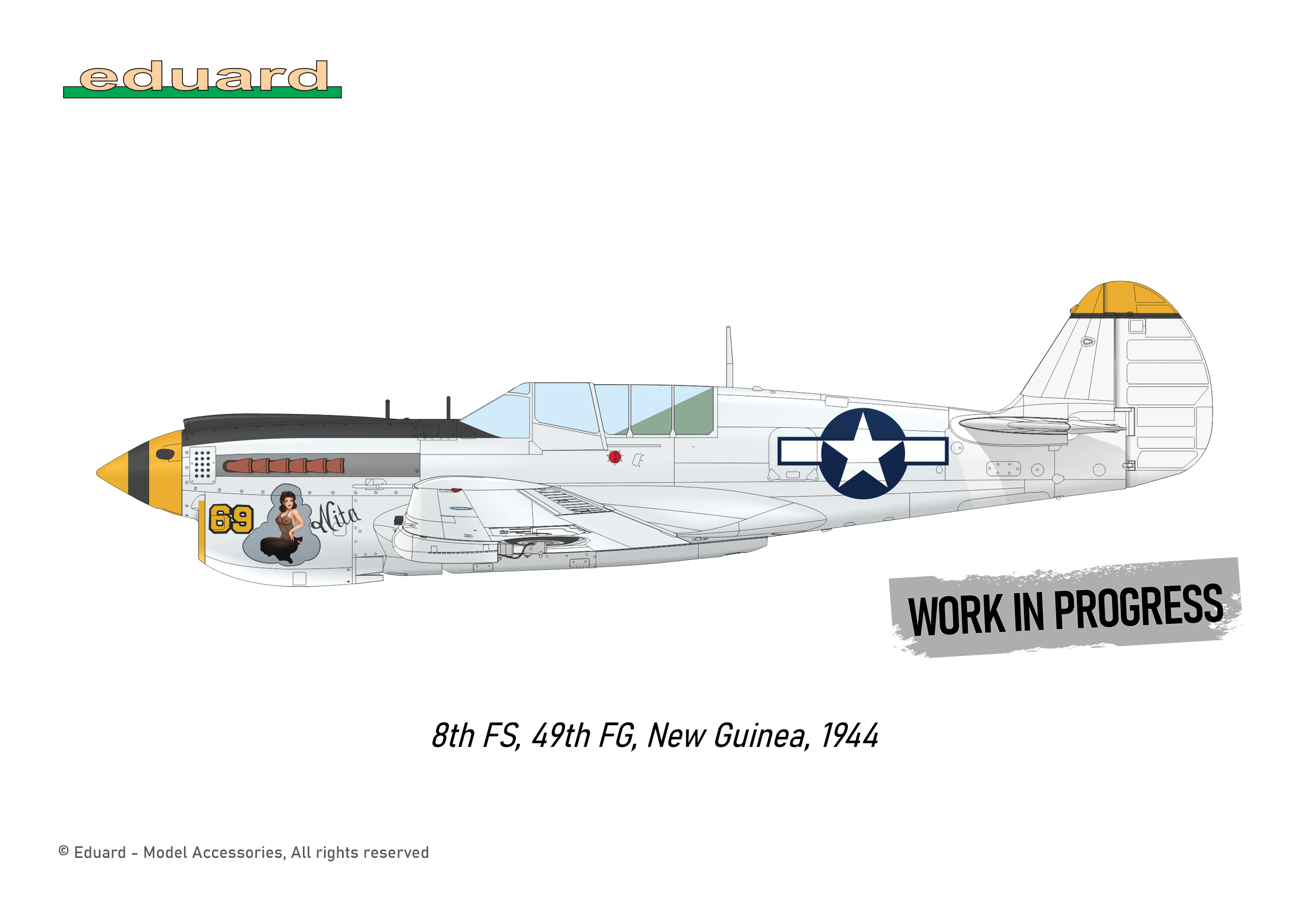 ak-interactive-p-40n-warhawk-royal-class-dual-combo-1-48 image 7
