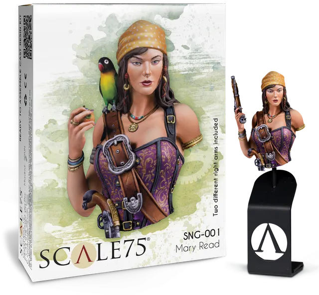 scale75-mary-read-1-10-busto-pirata-naughty-gears-in-resina image 1