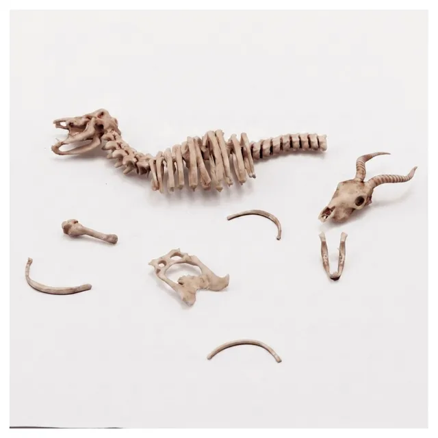 antelope-skeleton-1-35-scale image 1