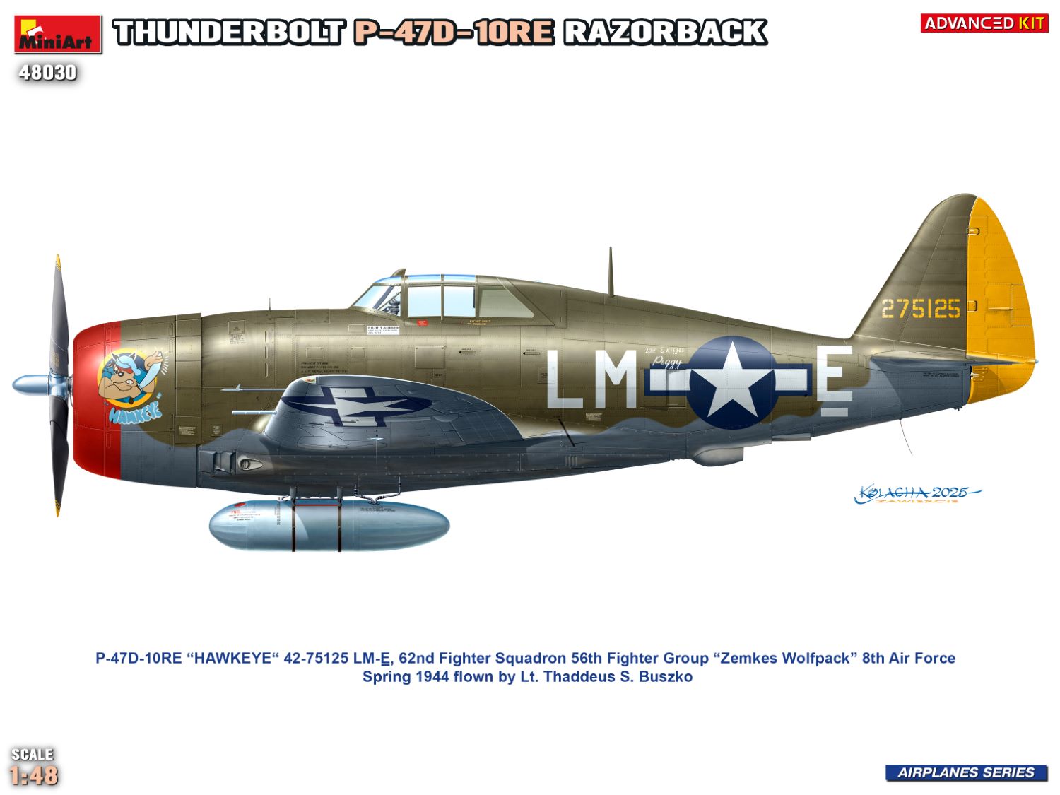 ak-interactive-1-48-thunderbolt-p-47d-10re-razorback-advanced-kit image 7