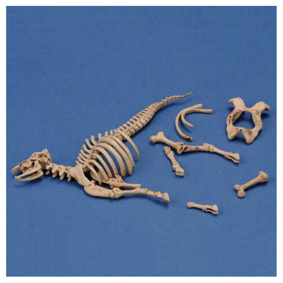 ak-interactive-cow-skeleton-n-3-1-35-stampa-3d-accessorio-diorama-modellismo image 1